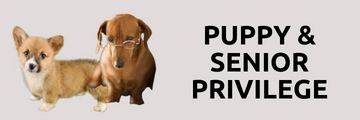 Puppy & Senior Privilege At Good Dog People | Online Pet Store Singapore