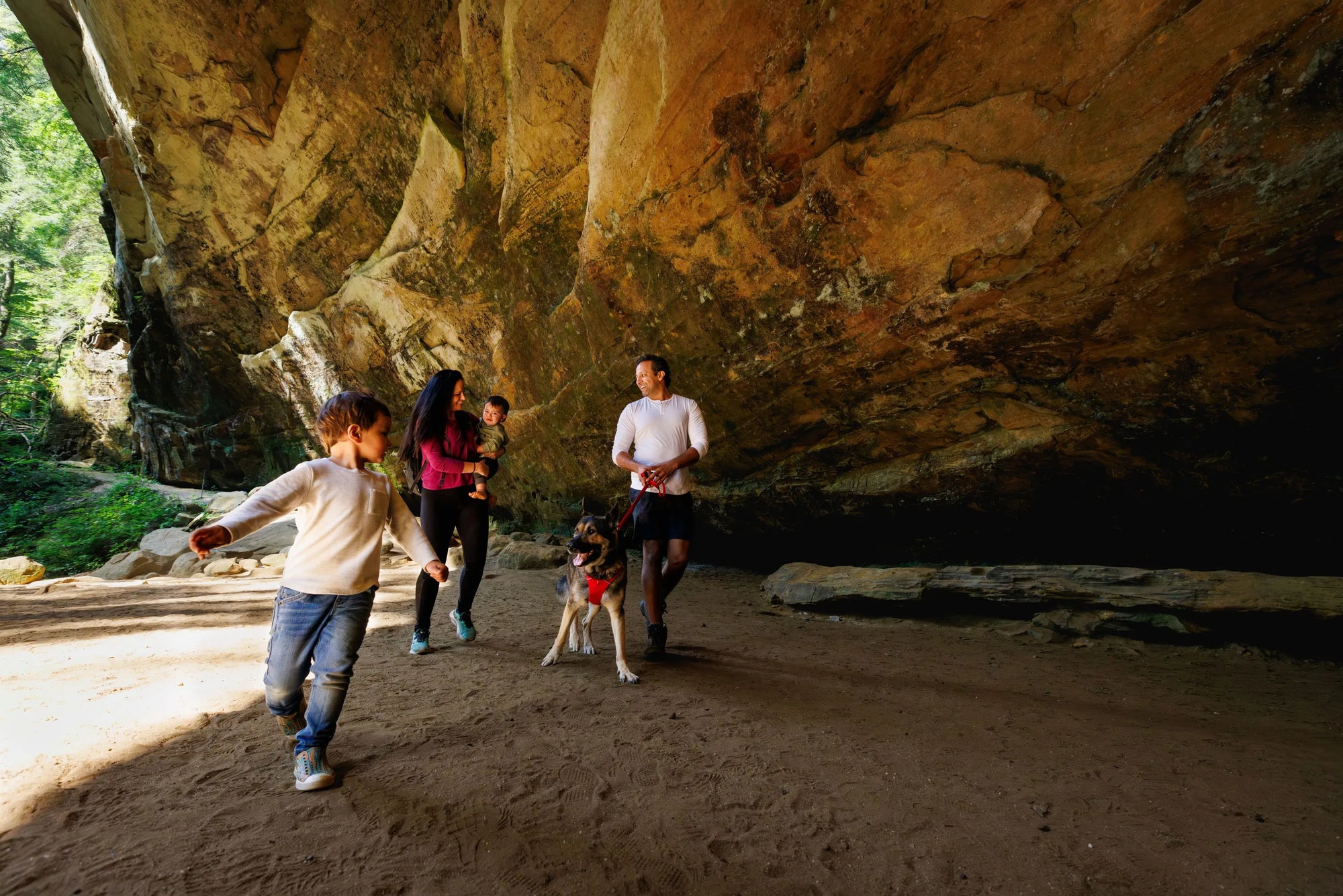 Ruffwear Front Range⢠Padded Dog Harness