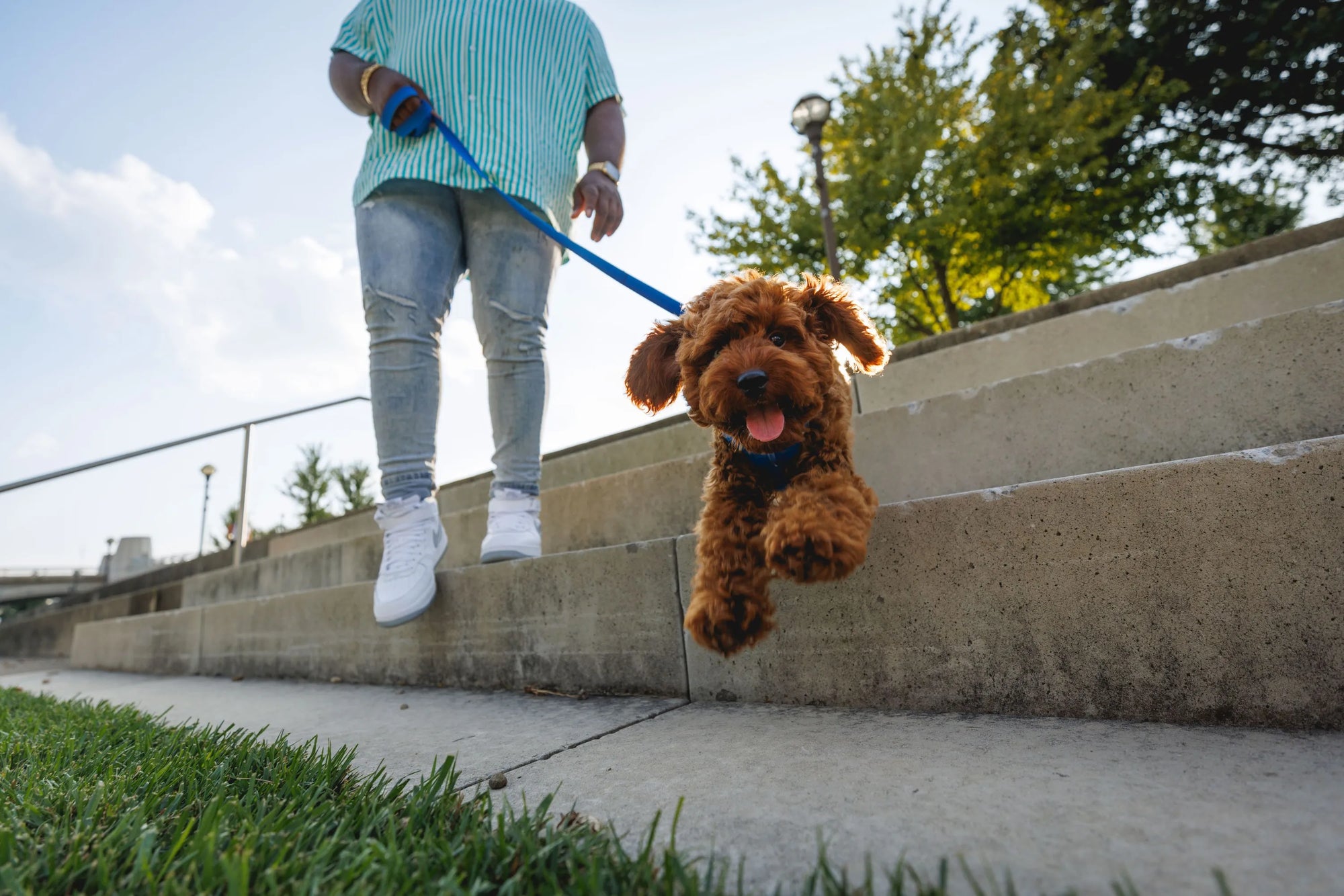 Ruffwear Front Range⢠Dog Leash With Padded Handle