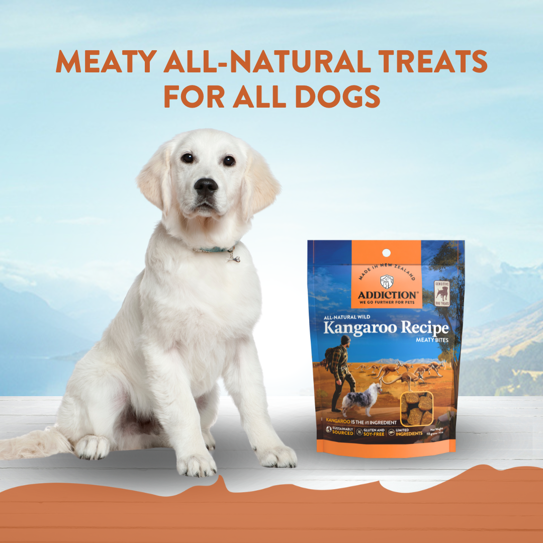 Addiction Grain-Free Meaty Bites Dog Treats (Kangaroo)