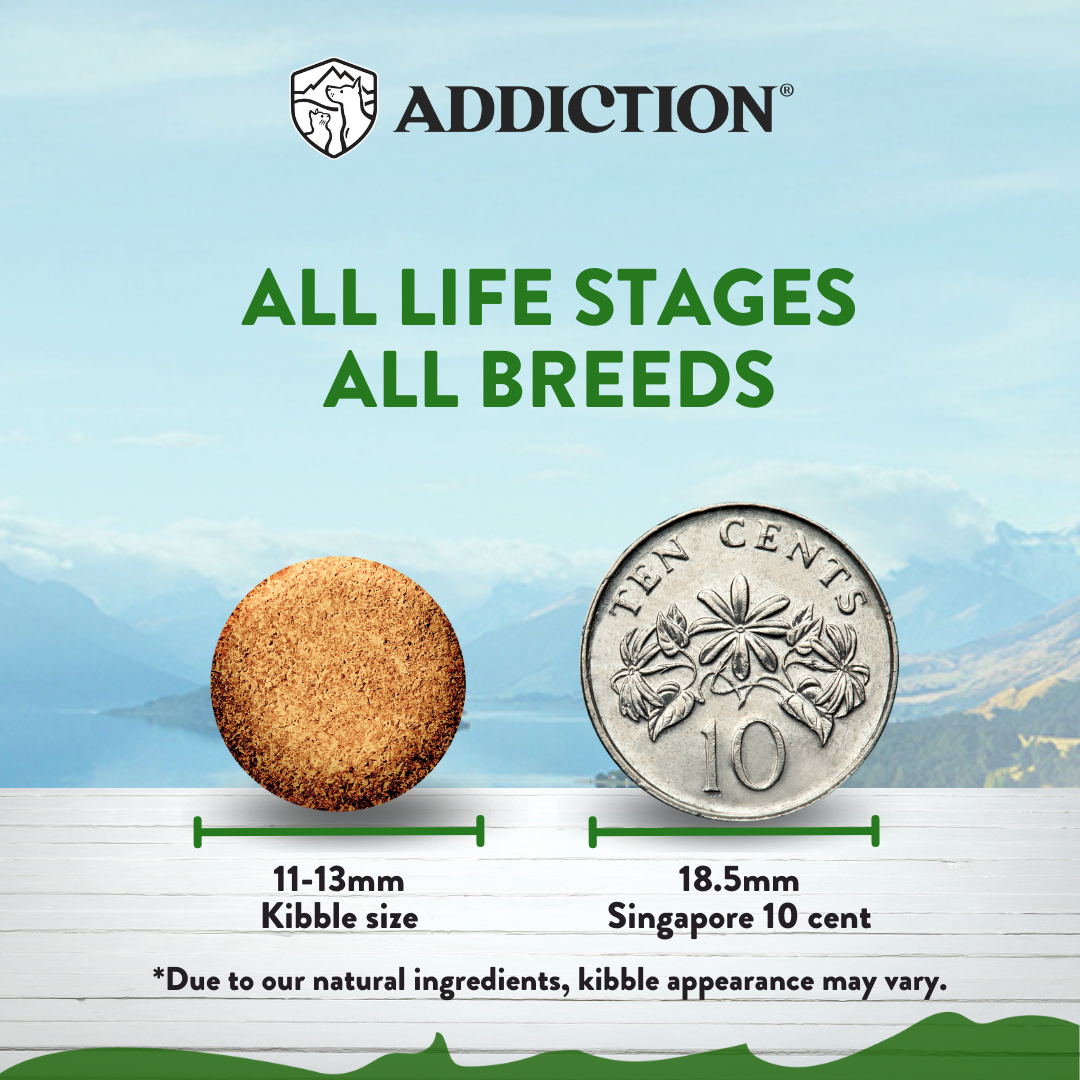 Addiction Dry Dog Food (Le Lamb)