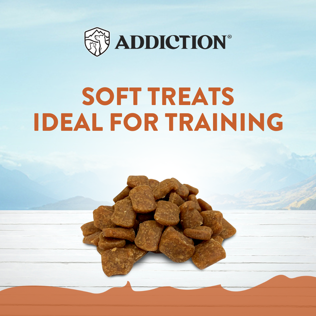 Addiction Grain-Free Meaty Bites Dog Treats (Kangaroo)