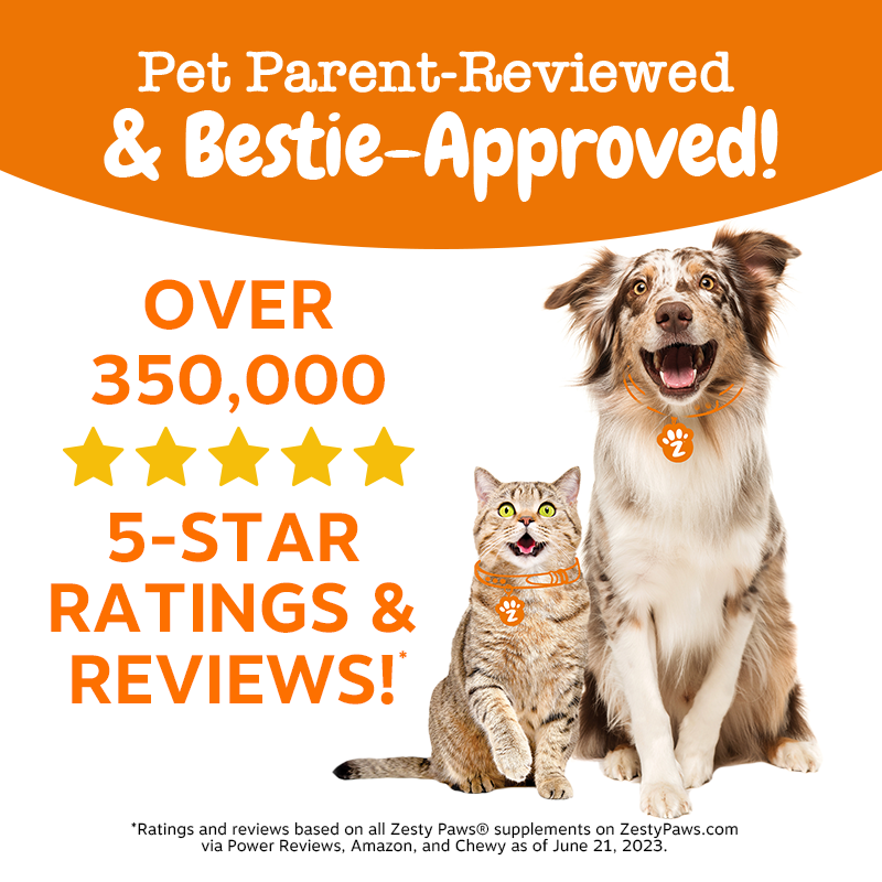 Zesty Paws All-in-One Training Bites Everyday Wellness Dog Treats (Peanut Butter Flavour)