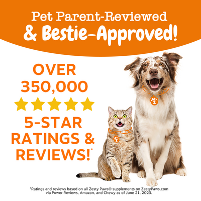 Zesty Paws All-in-One Training Bites Everyday Wellness Dog Treats (Peanut Butter Flavour)