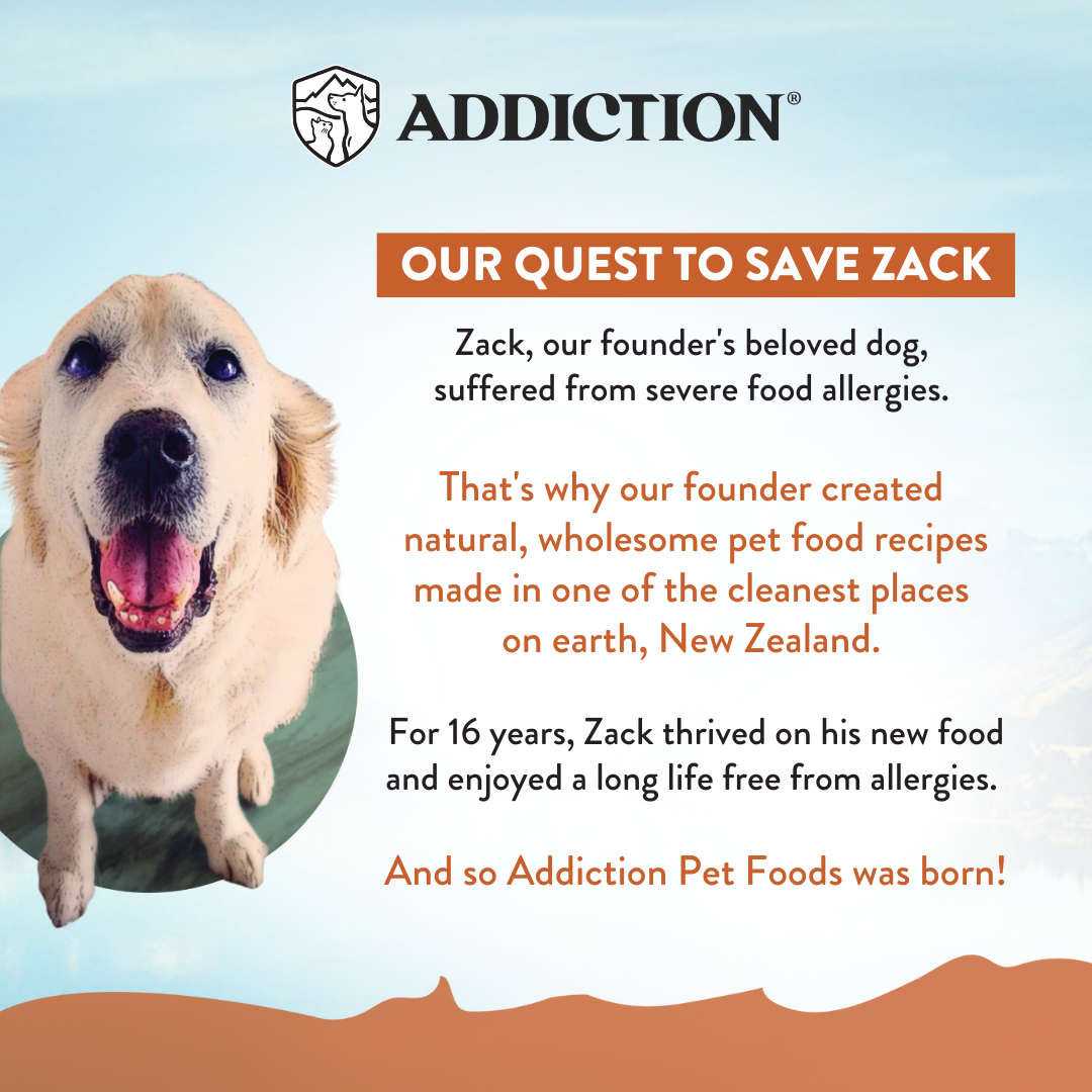 Addiction Grain-Free Meaty Bites Dog Treats (Kangaroo)