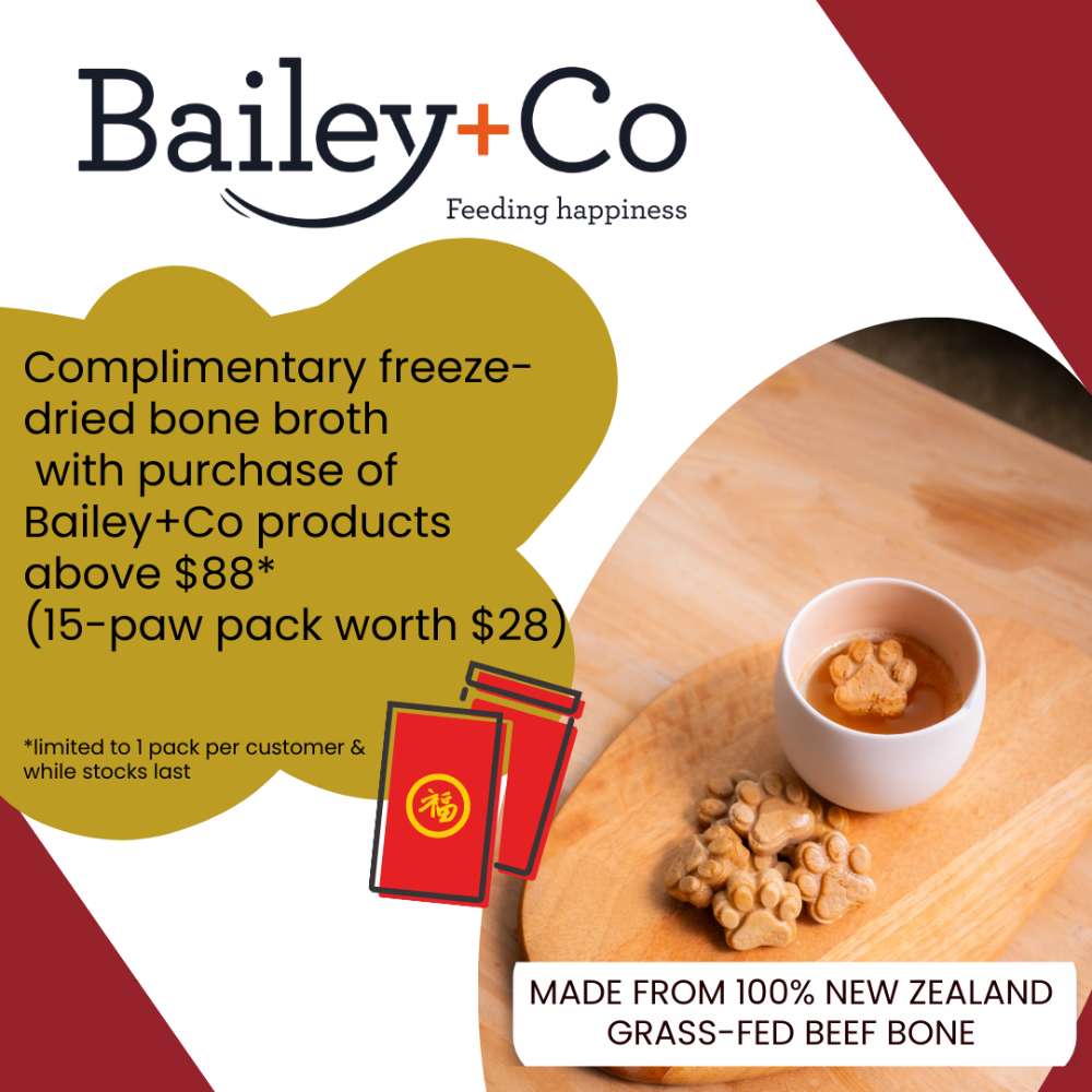 Buy Bailey+Co At Good Dog People | Singapore's Best Online Pet Store