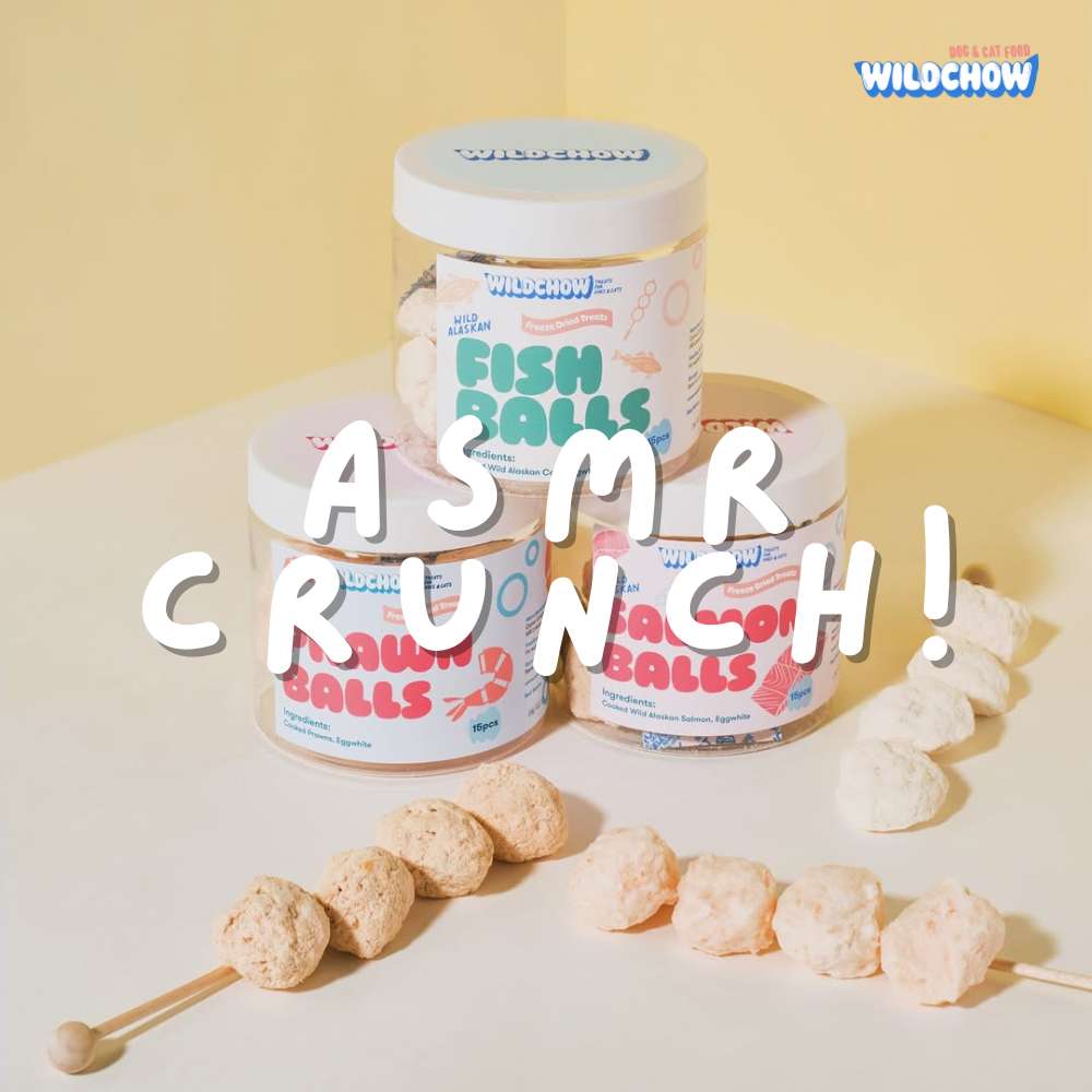 Buy WildChow Fresh Pet Food & Treats At Good Dog People | Singapore's Best Online Pet Store