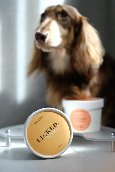 Licked Super Tubby Froyo Frozen Dog Treats (Pina Colada)