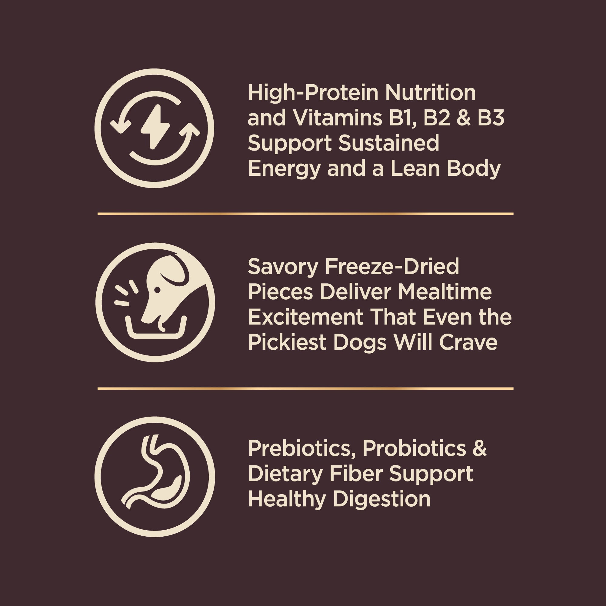 Wellness CORE+ Grain Free Wild Game Adult Dry Dog Food (Duck, Lamb Meal, Wild Boar & Rabbit Recipe)
