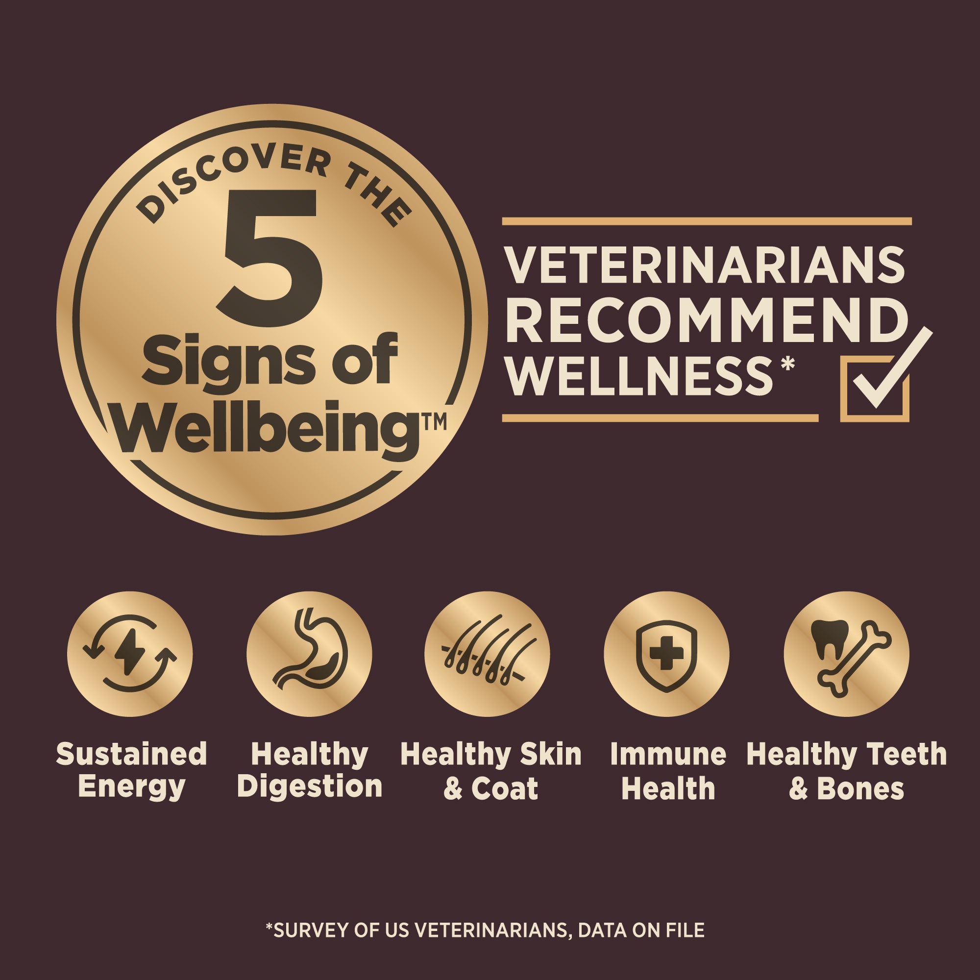 Wellness CORE+ Grain Free Wild Game Adult Dry Dog Food (Duck, Lamb Meal, Wild Boar & Rabbit Recipe)