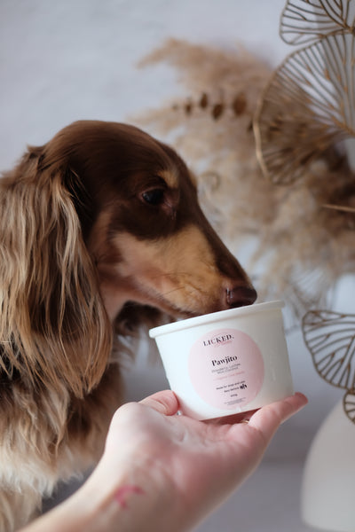 Licked Super Tubby Froyo Frozen Dog Treats (Pawjito)