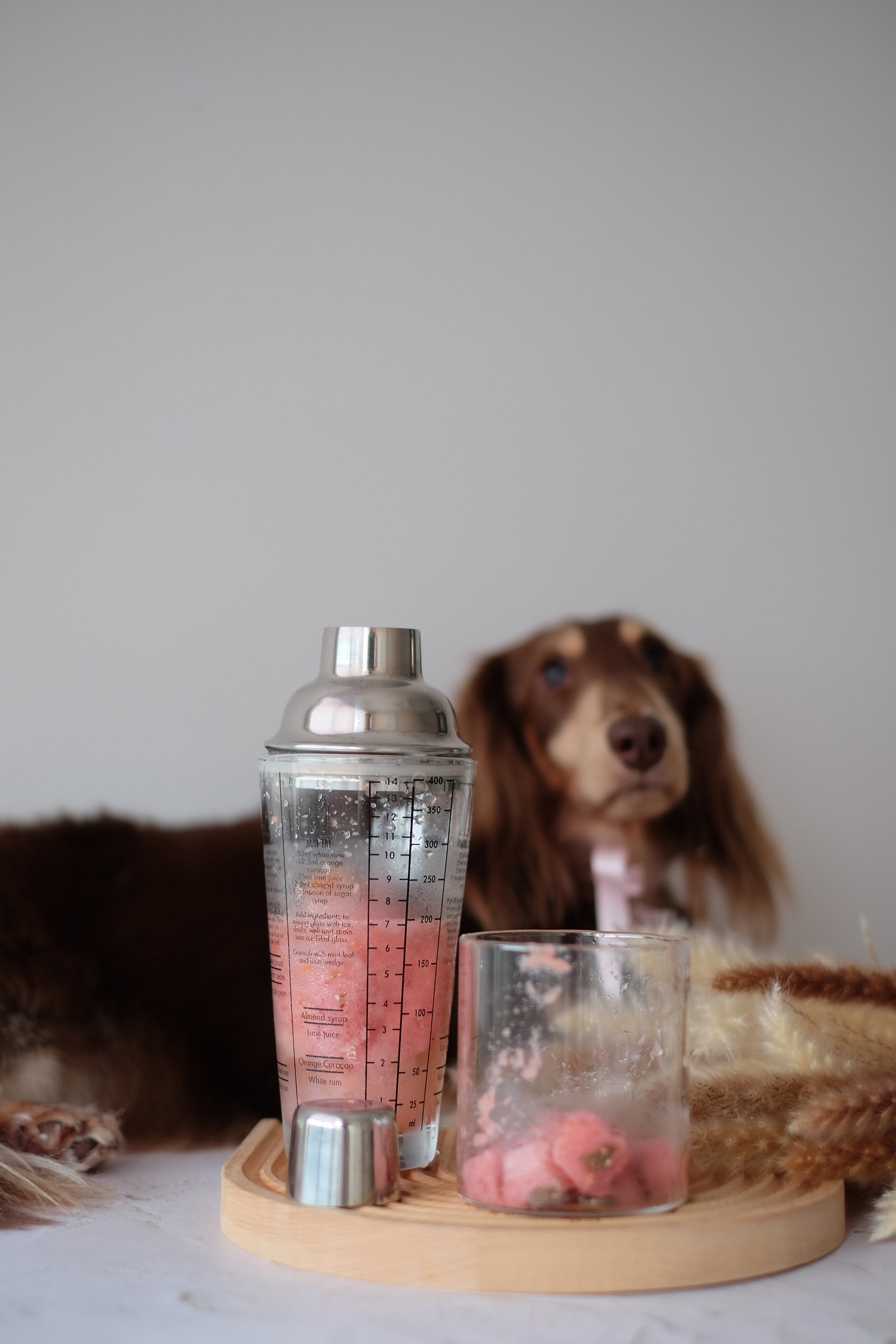 Licked Super Tubby Froyo Frozen Dog Treats (Feelin’ Peachy)