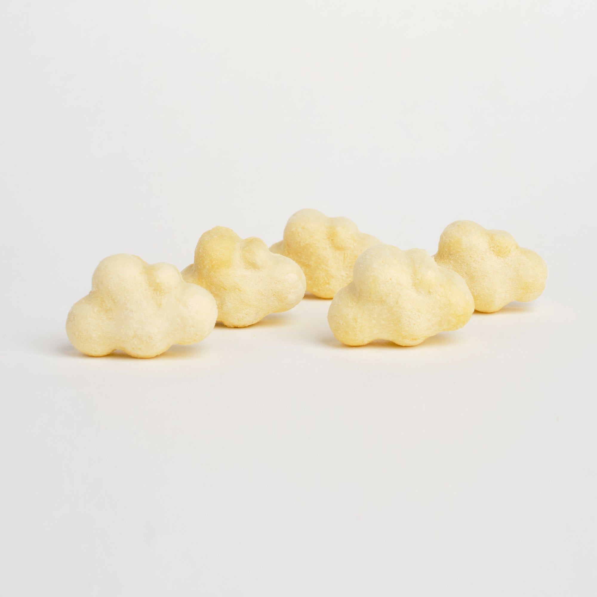 WildChow Freeze Dried Dog Treats (Durian Dream)