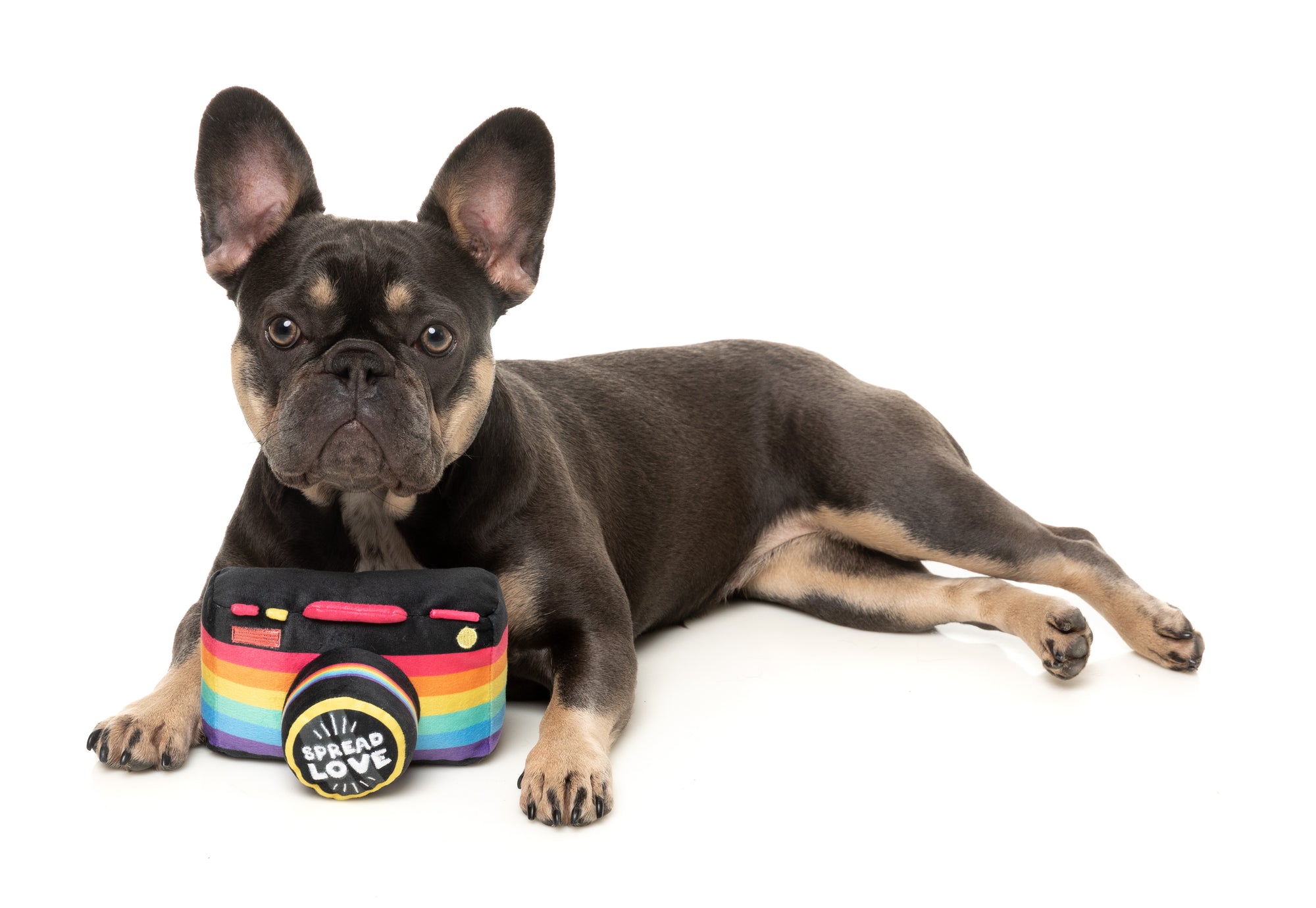 FuzzYard Pride Plush Dog Toy (Spread Love Camera)