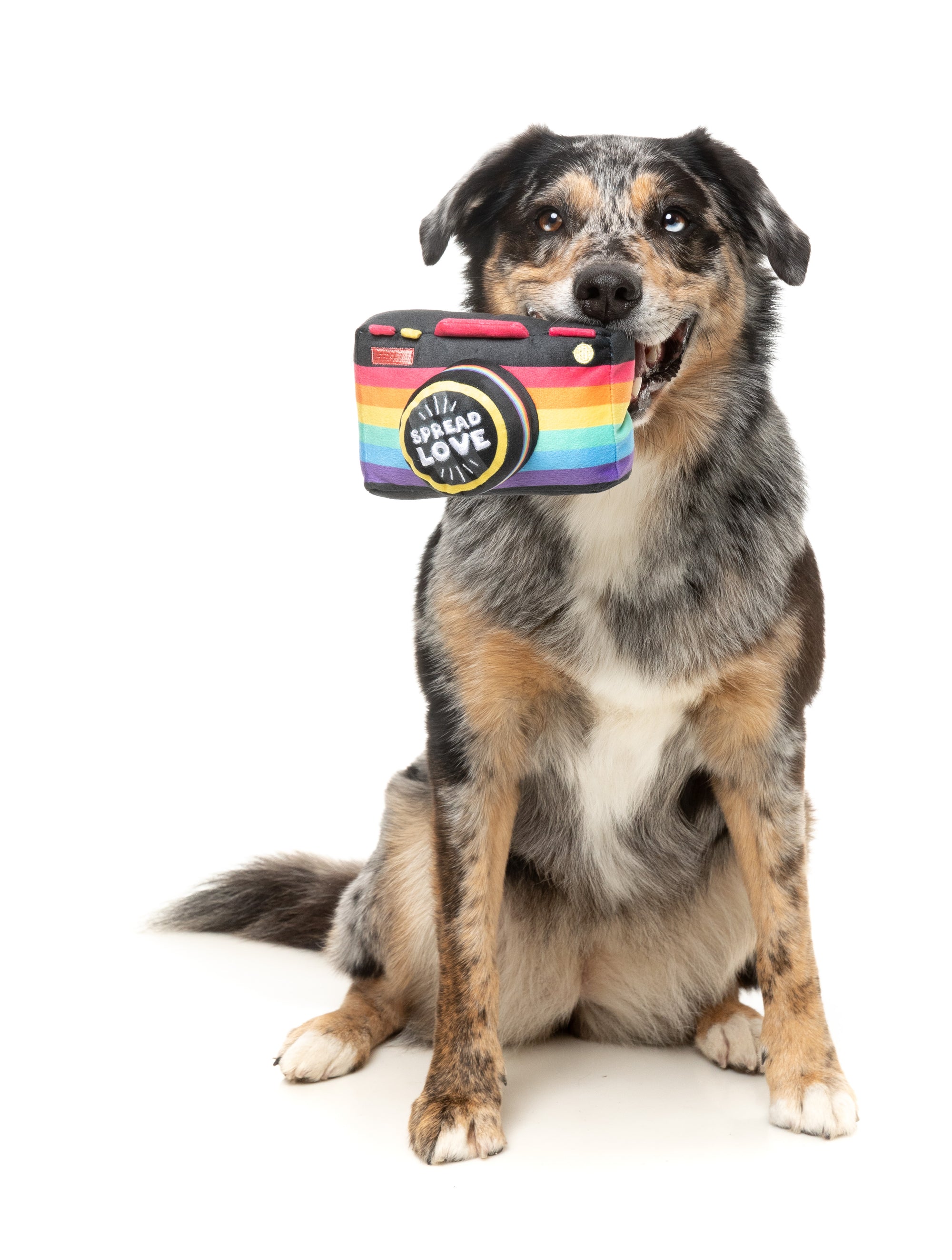 FuzzYard Pride Plush Dog Toy (Spread Love Camera)