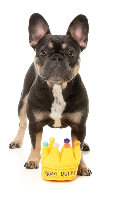 FuzzYard Pride Plush Dog Toy (Yass Queen Crown)