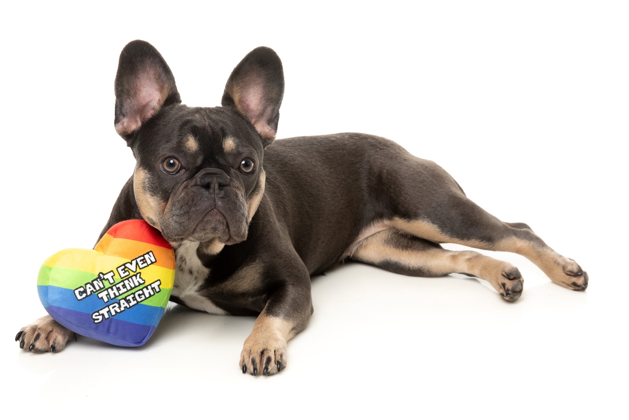 FuzzYard Pride Plush Dog Toy (Can't Think Straight)