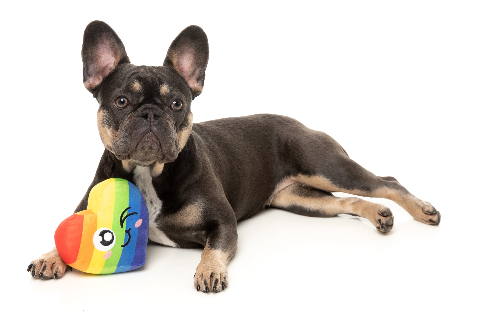 FuzzYard Pride Plush Dog Toy (Can't Think Straight)