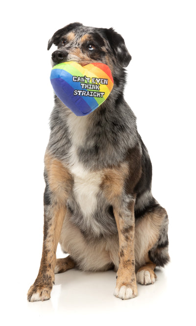 FuzzYard Pride Plush Dog Toy (Can't Think Straight)