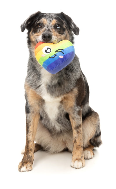 FuzzYard Pride Plush Dog Toy (Can't Think Straight)