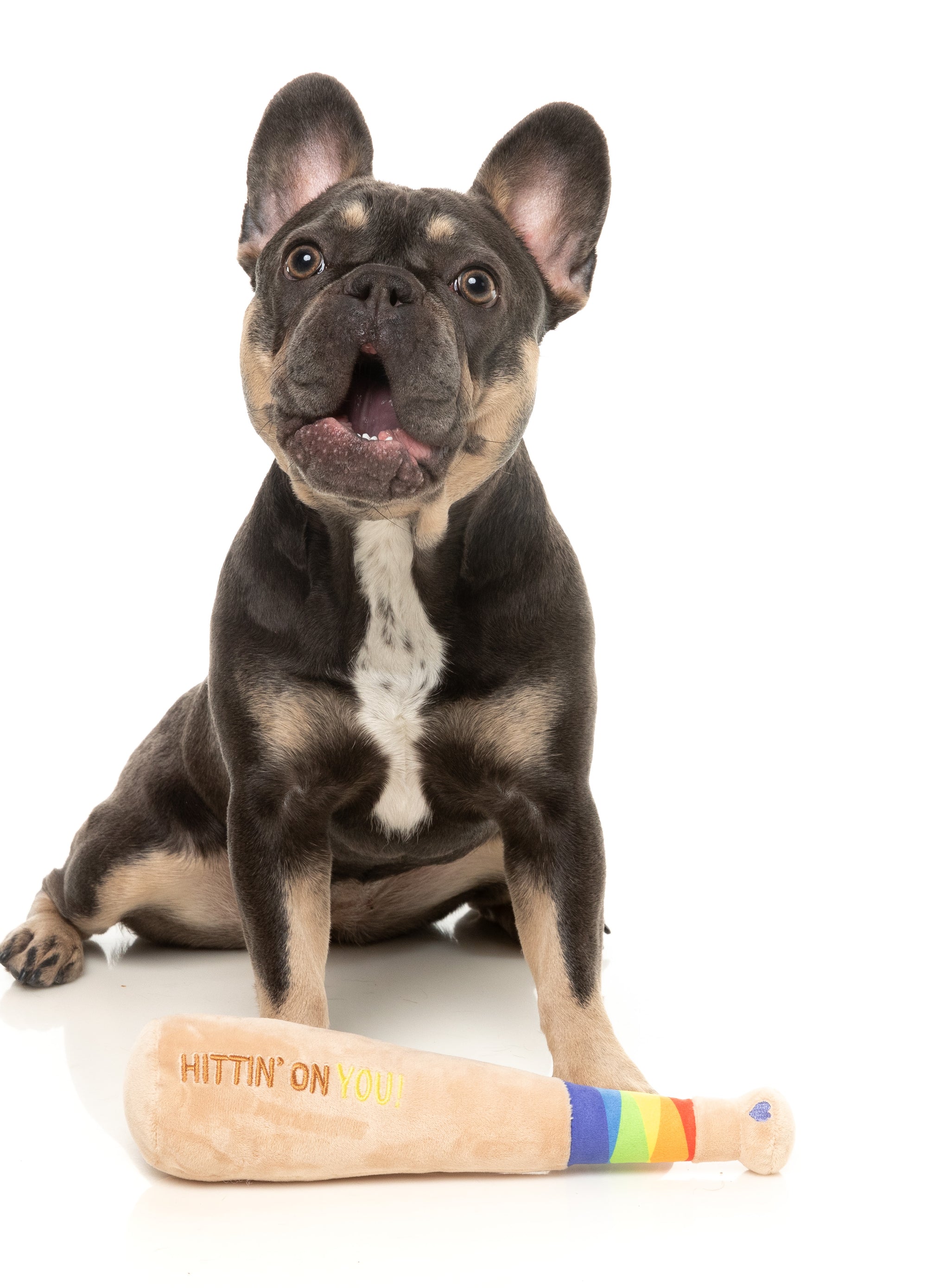 FuzzYard Pride Plush Dog Toy (Hittin' On You Bat)