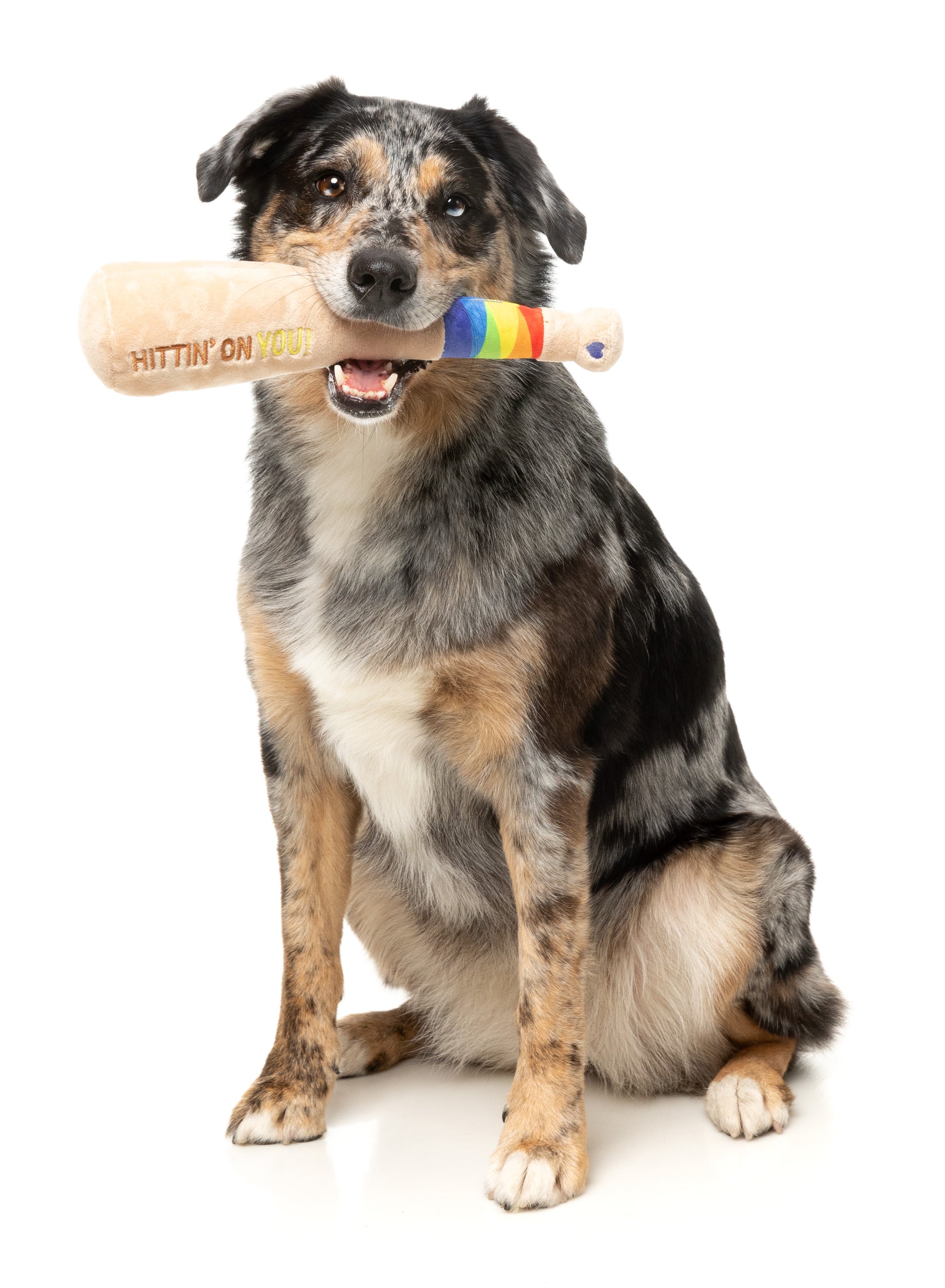 FuzzYard Pride Plush Dog Toy (Hittin' On You Bat)