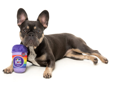 FuzzYard Pride Plush Dog Toy (Rainbow Pawfee)