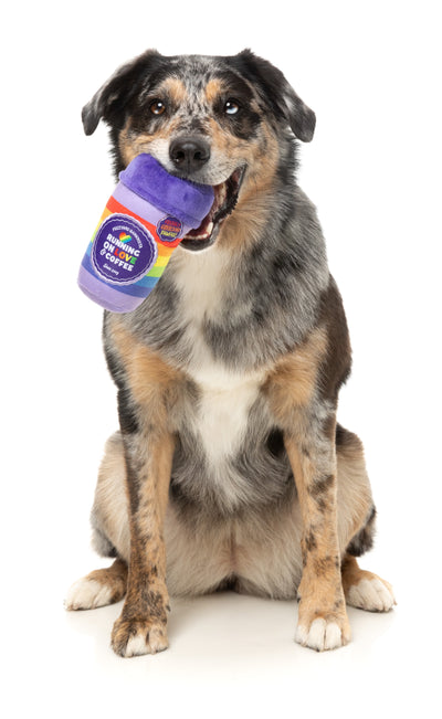 FuzzYard Pride Plush Dog Toy (Rainbow Pawfee)