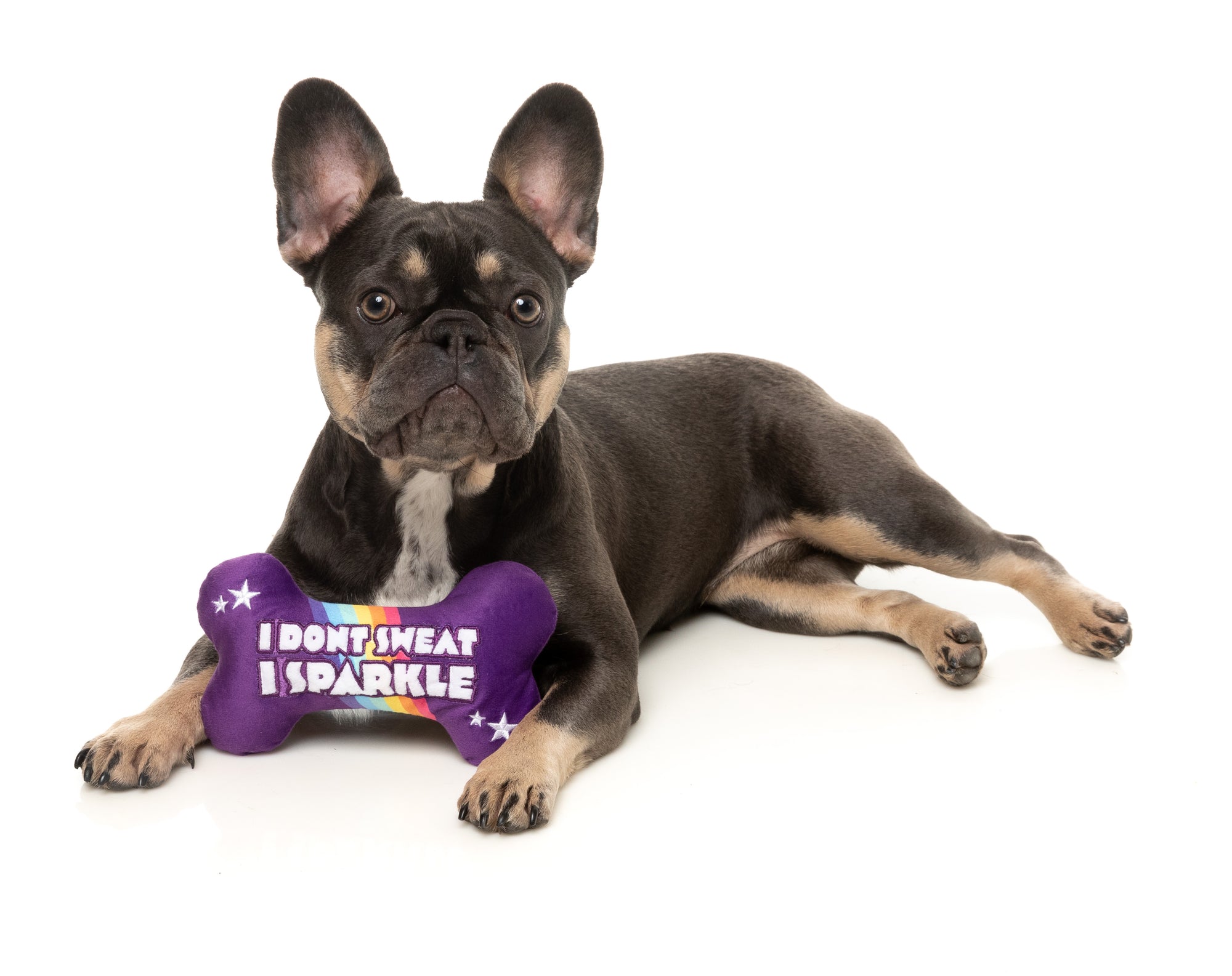 FuzzYard Pride Plush Dog Toy (Sparkle Bone)