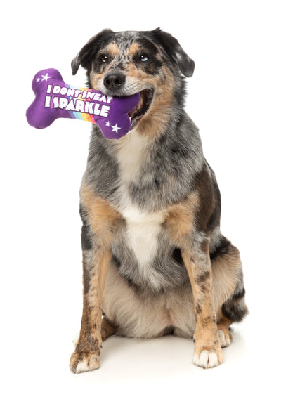 FuzzYard Pride Plush Dog Toy (Sparkle Bone)