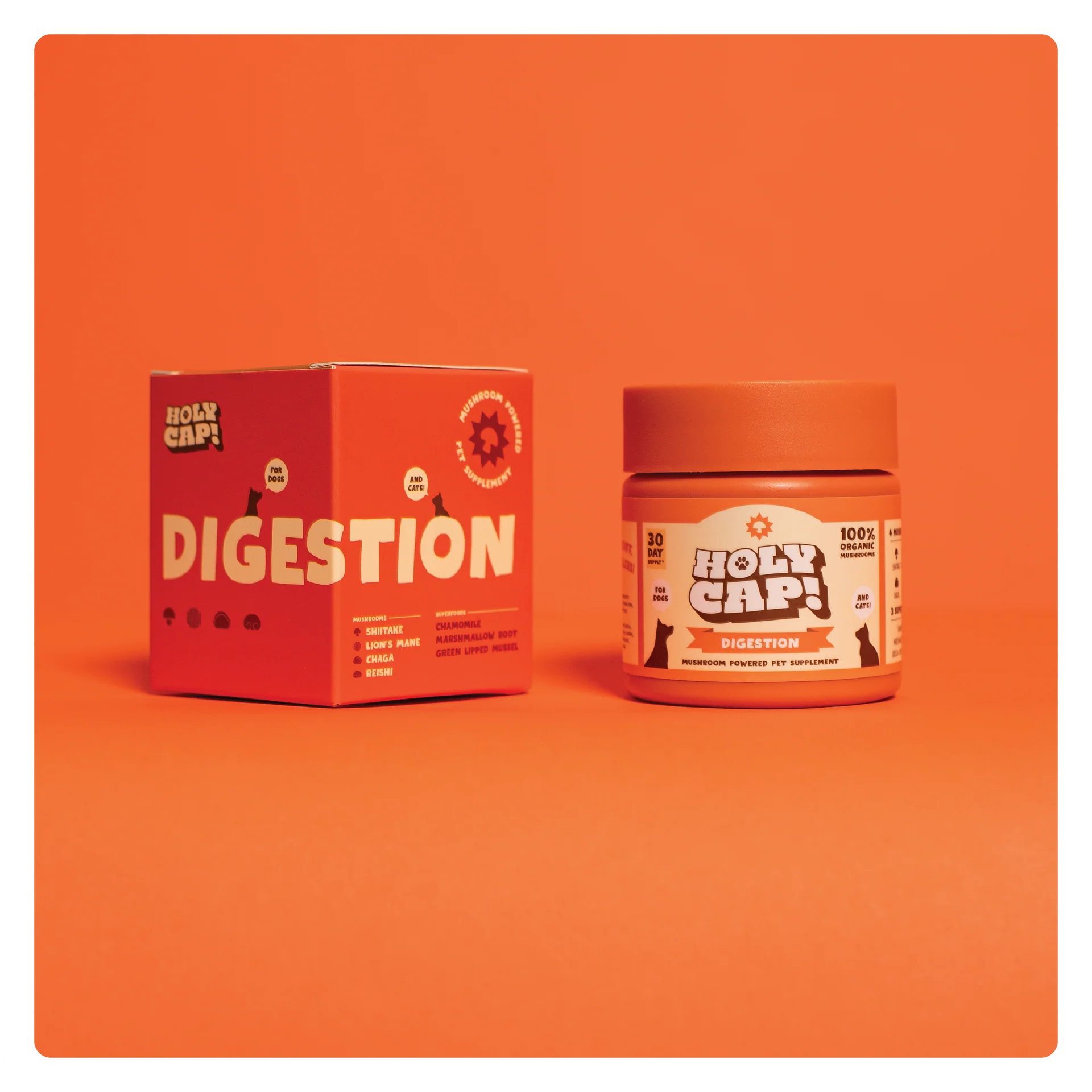 Holy Cap Medicinal Mushroom Supplement for Dogs (Digestion)