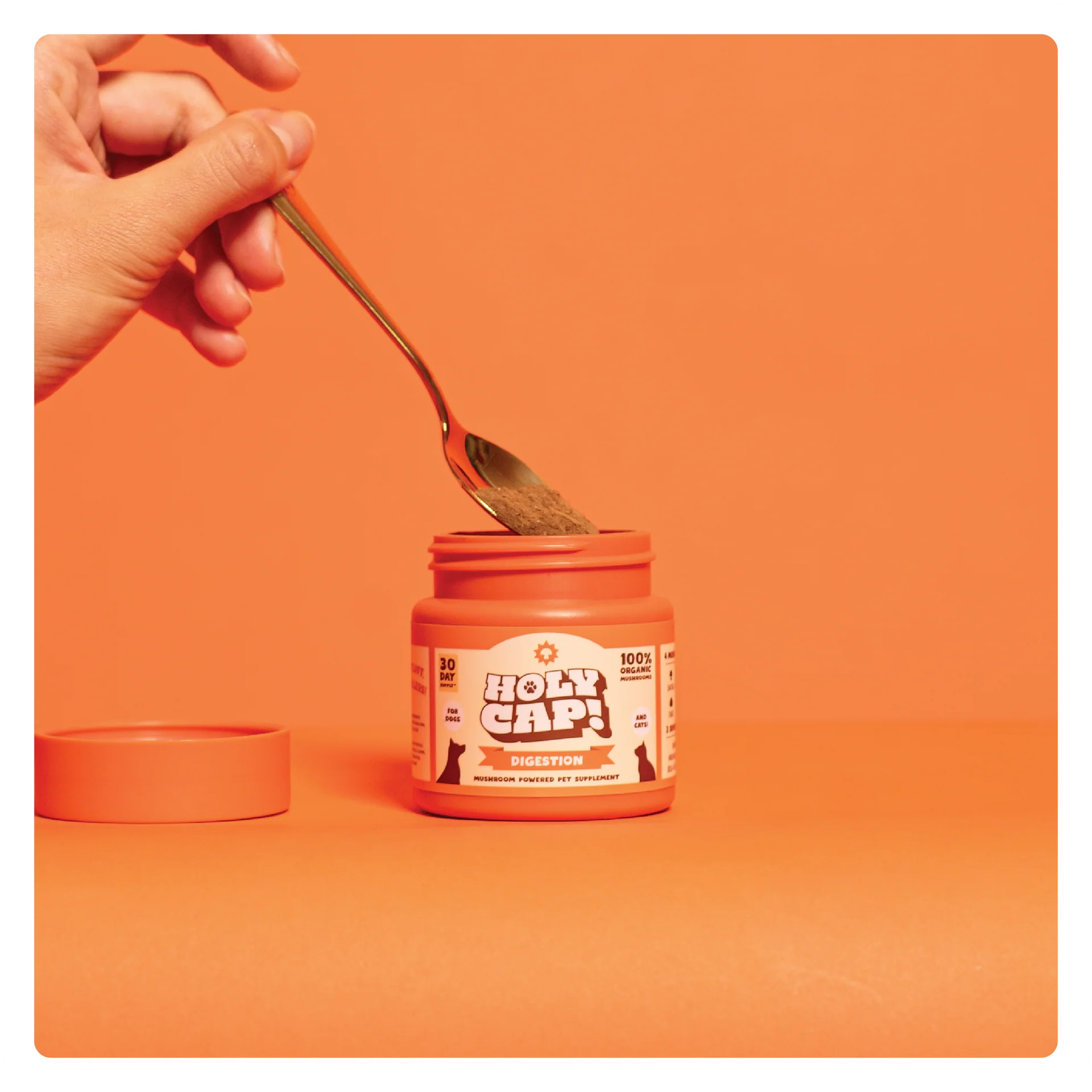 Holy Cap Medicinal Mushroom Supplement for Dogs (Digestion)