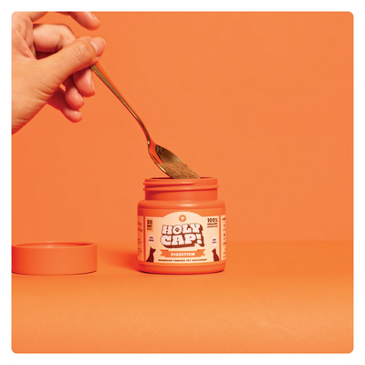 Holy Cap Medicinal Mushroom Supplement for Dogs (Digestion)