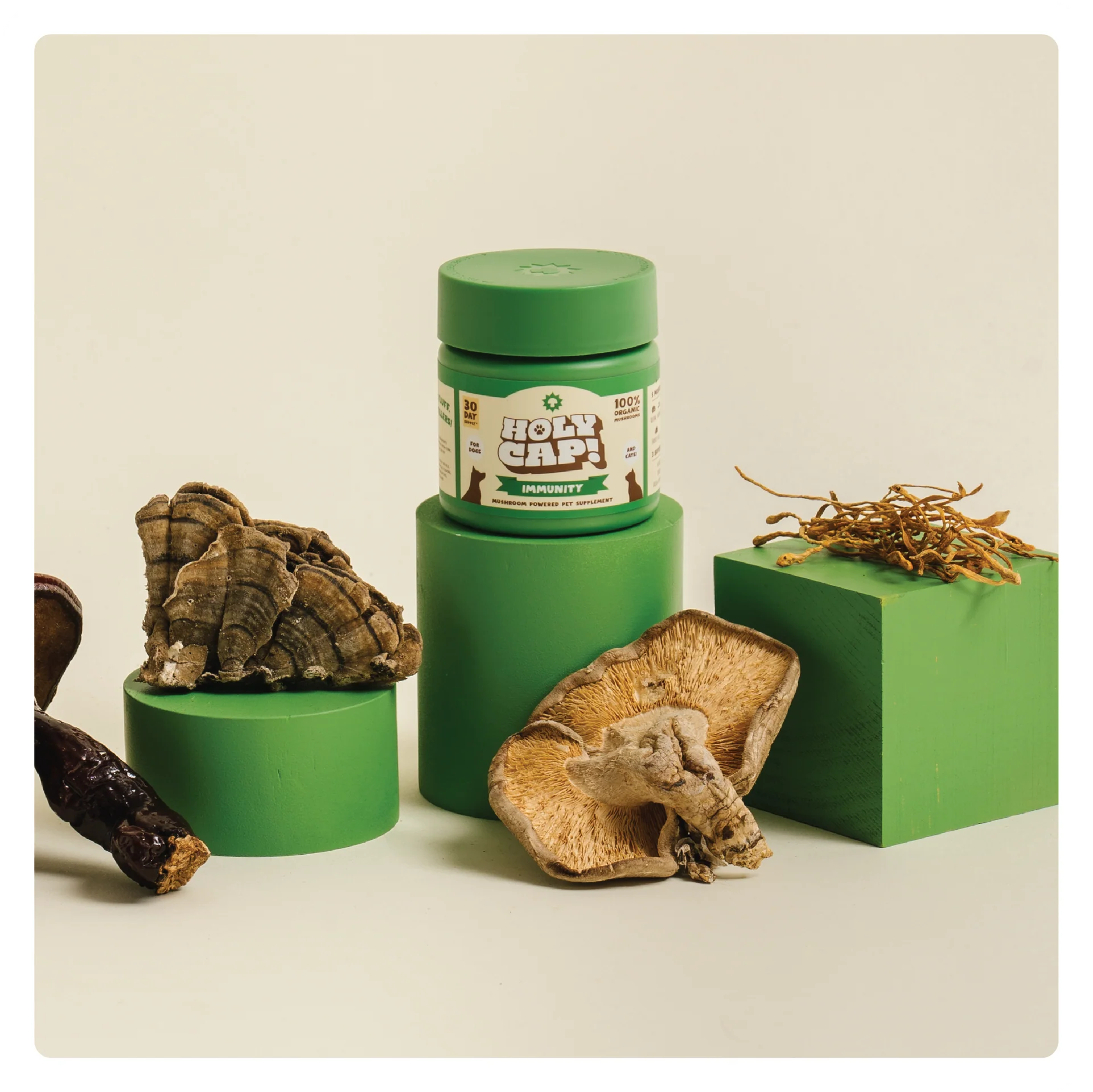 Holy Cap Medicinal Mushroom Supplement for Dogs (Immunity)