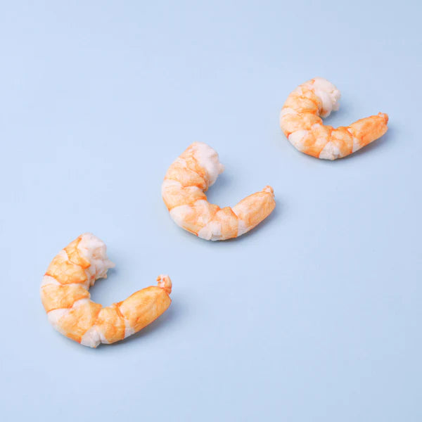 WildChow Freeze Dried Dog Treats (Hae Bee Prawns)