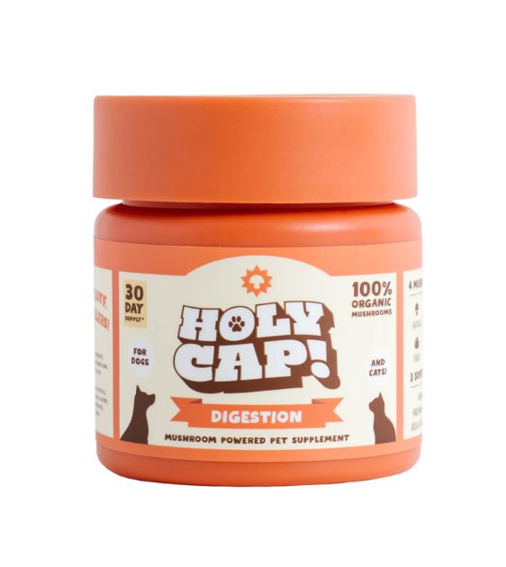 Holy Cap Mushroom Powered Supplement for Dogs (Digestion)