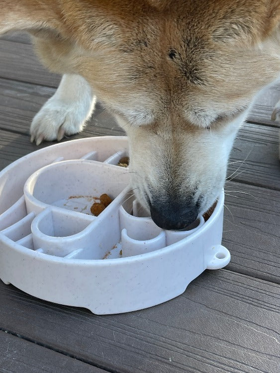 SodaPup Enrichment Slow Feeder Bowl For Dogs (Round / Mocha Speckle)