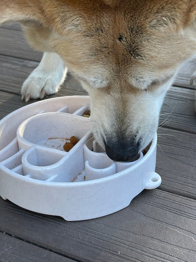 SodaPup Enrichment Slow Feeder Bowl For Dogs (Round / Mocha Speckle)