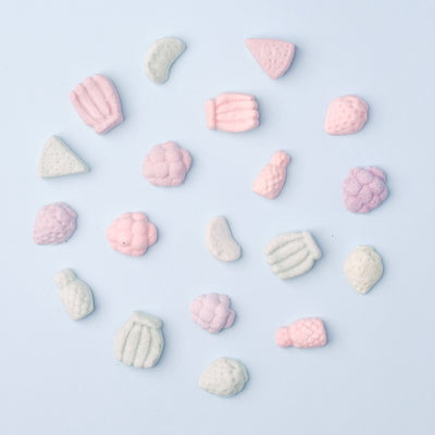 WildChow Freeze Dried Dog Treats (Durian Dream)