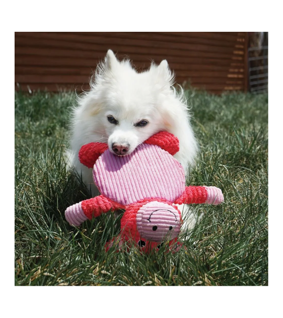 KONG Low Stuff Crackle Tummiez Dog Toy