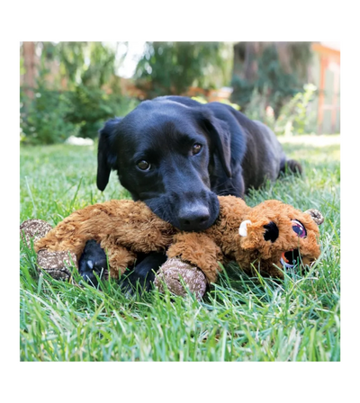 KONG Low Stuff Flopzie Dog Toy