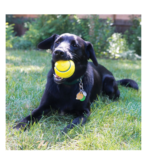 KONG Squeezz Tennis Ball Dog Toy (Assorted Colours)