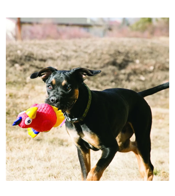 KONG Wiggi Dog Toy