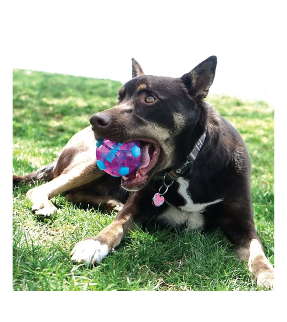 KONG Wrapz Sport Soccer Ball Dog Toy