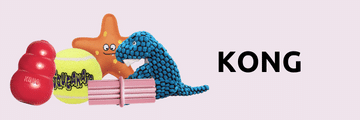 KONG Singapore - Good Dog People Online Pet Store