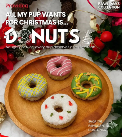 Providog Frozen Pawlidays Donut Box For Dogs