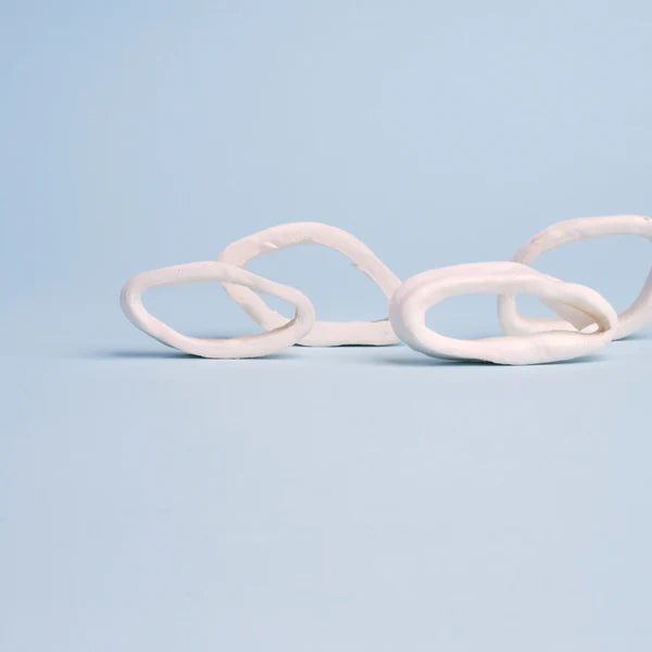 WildChow Freeze Dried Dog Treats (Squid Game)