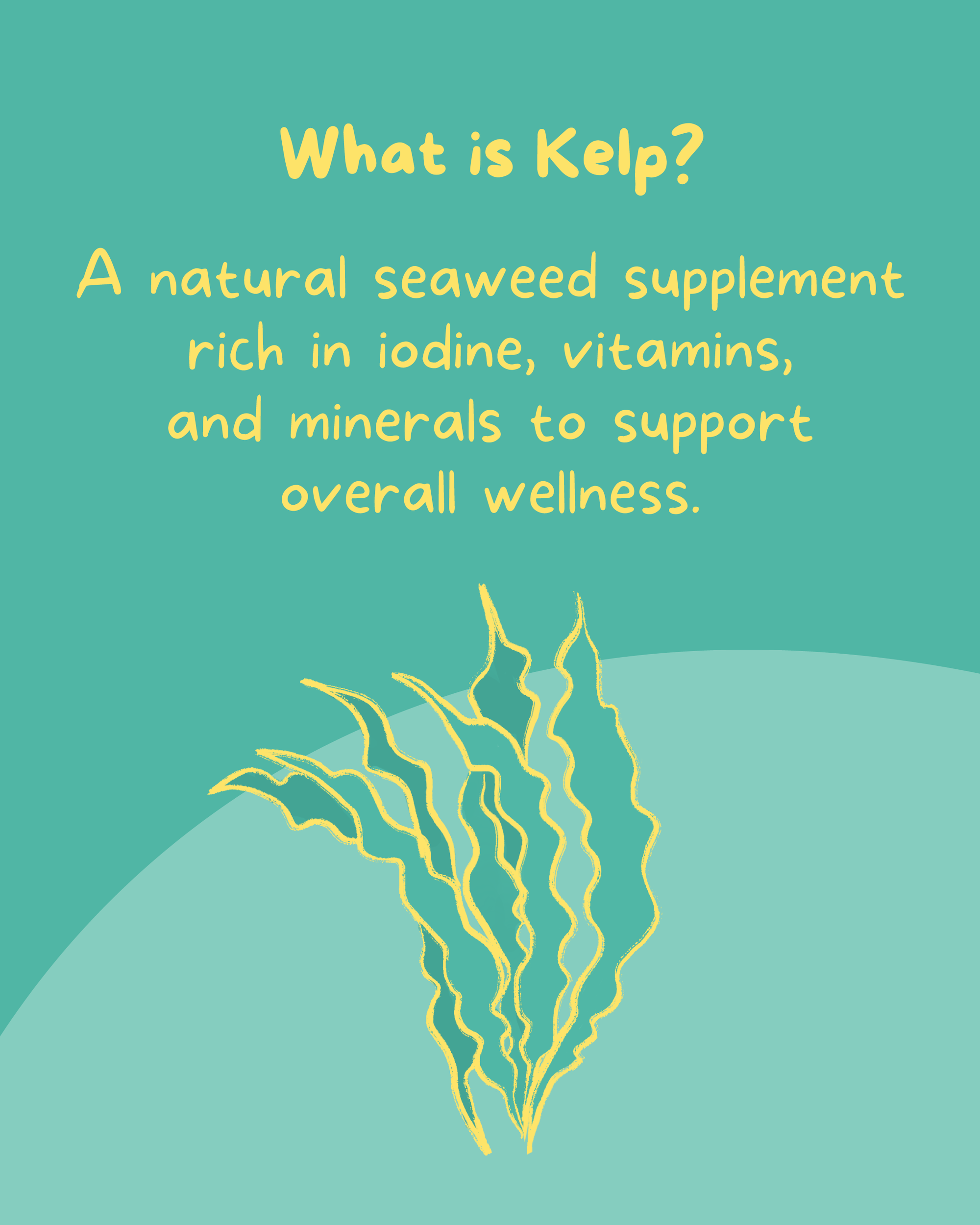 PetCubes Kelp Organic Supplement for Dogs & Cats