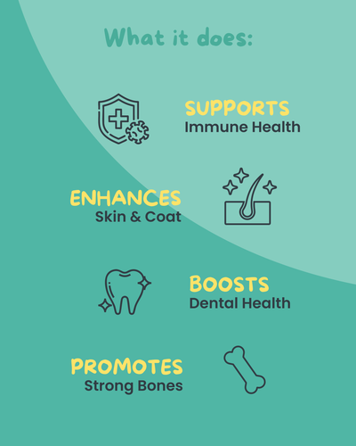 PetCubes Kelp Organic Supplement for Dogs & Cats