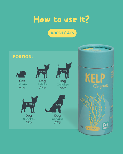 PetCubes Kelp Organic Supplement for Dogs & Cats